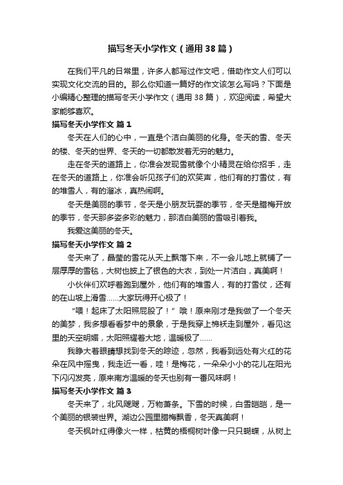 描写冬天小学作文(通用38篇)