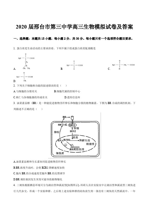 2020届邢台市第三中学高三生物模拟试卷及答案