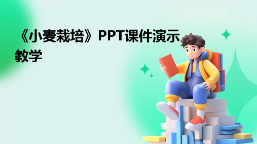 2024年度-《小麦栽培》PPT课件演示教学