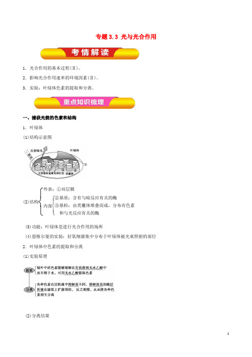 2019年高考生物一轮复习 专题3.3 光与光合作用教学案