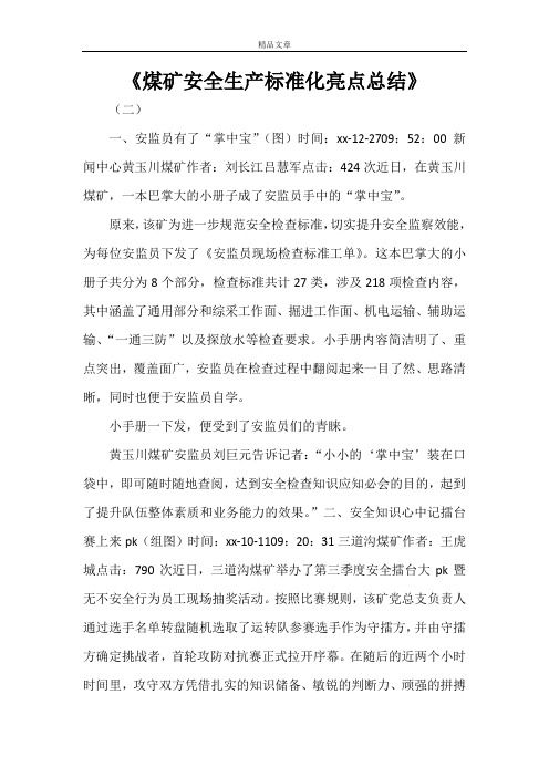 《煤矿安全生产标准化亮点总结》