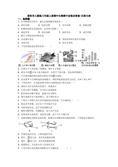 邵阳市人教版八年级上册期中生物期中试卷及答案-百度文库