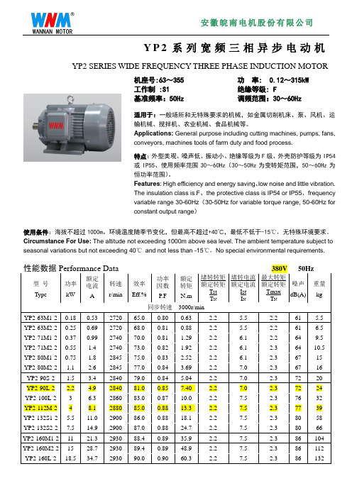 皖南电机YP2系列样本