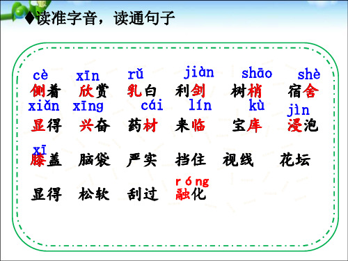 美丽的小兴安岭(群文阅读)