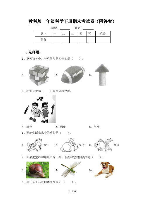 教科版一年级科学下册期末考试卷(附答案)