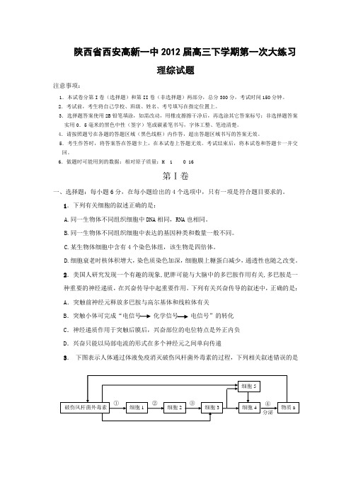 高新一中高三下学期理综