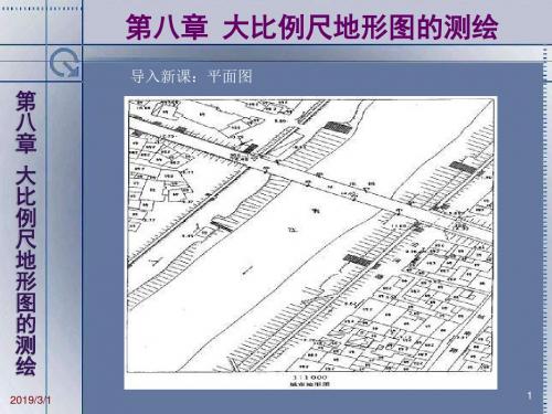 【测绘课件】第八章 大比例尺地形图的测绘-PPT精品文档