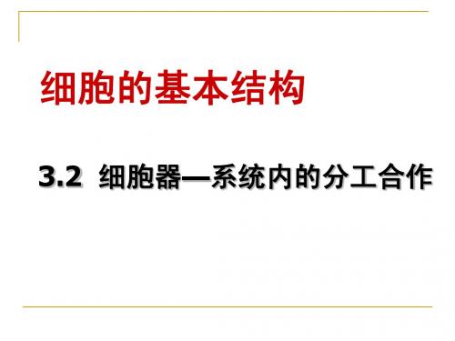 第二节  细胞器──系统内的分工合作