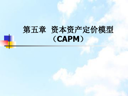 第五章资本资产定价模型CAPM证券投资学北大,杨云红