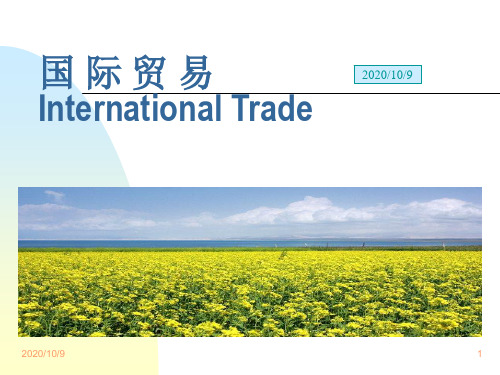 2011国际贸易chapter1绪论演示教学
