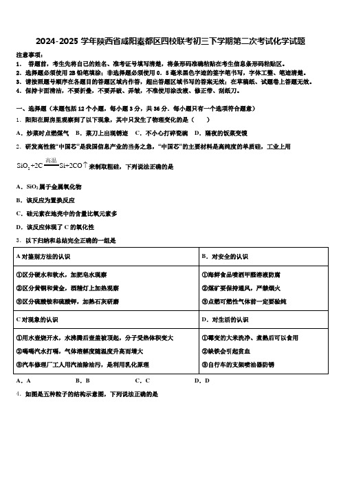 2024-2025学年陕西省咸阳秦都区四校联考初三下学期第二次考试化学试题含解析