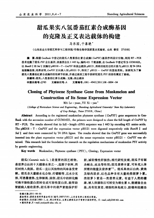 甜瓜果实八氢番茄红素合成酶基因的克隆及正义表达载体的构建