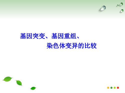 对点ppt：基因突变、基因重组、染色体变异的比较