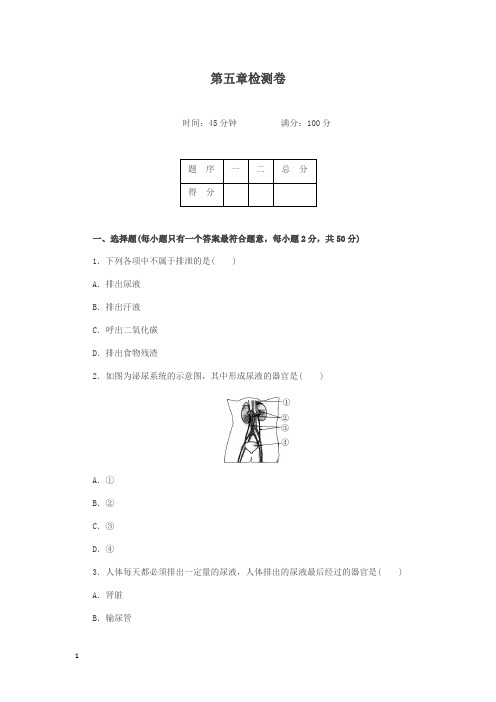 最新人教版初中生物七年级下册第五章检测卷及答案