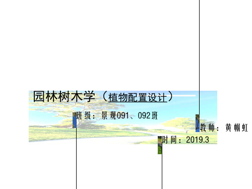 植物配置设计绪论-PPT精品文档