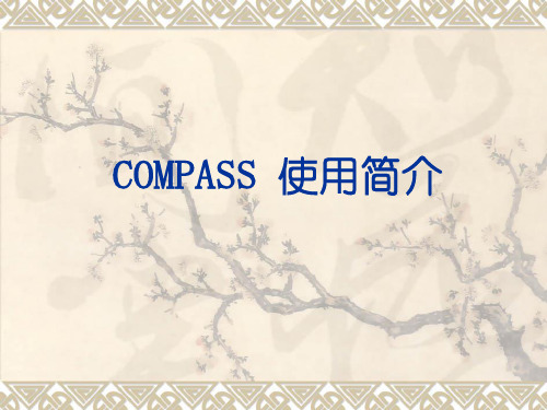 COMPASS 使用说明