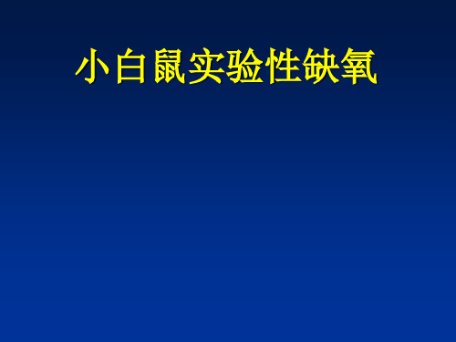 小白鼠实验性缺氧