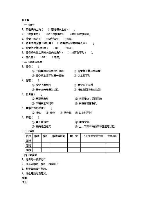 解剖学作业题