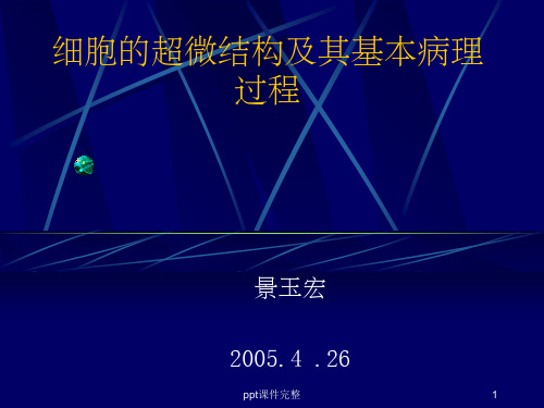 细胞的超微结构及其基本病理