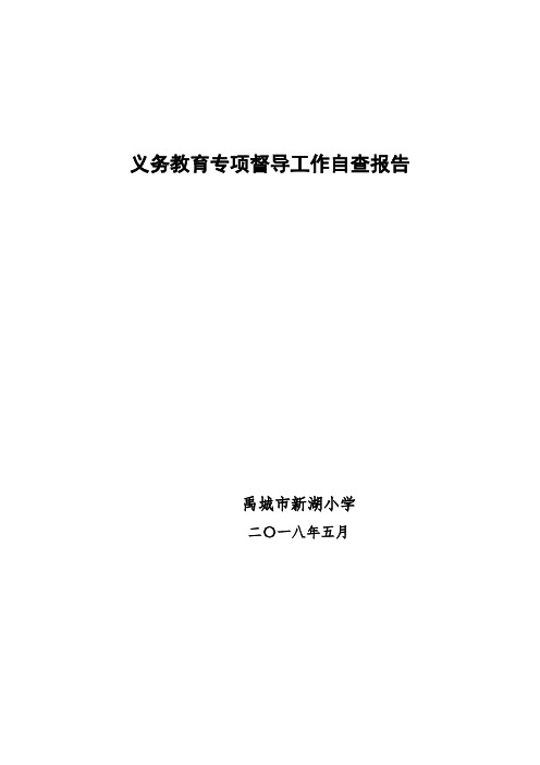 义务教育专项督导工作自查报告