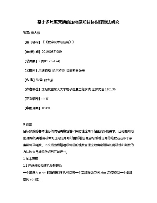 基于多尺度变换的压缩感知目标跟踪算法研究