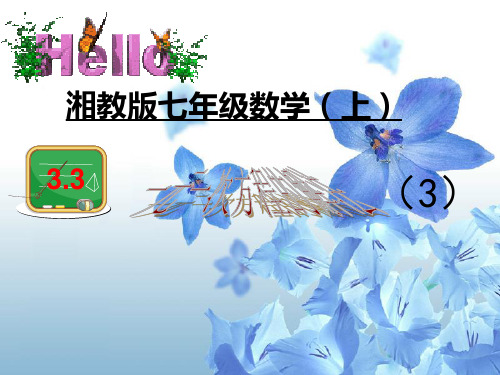 3.3一元一次方程的解法(3)去分母(共13张)