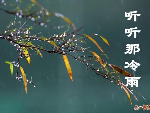 《听听那冷雨》