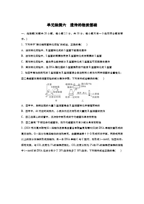 2025届高中生物学一轮复习：单元检测六 遗传的物质基础(含解析)