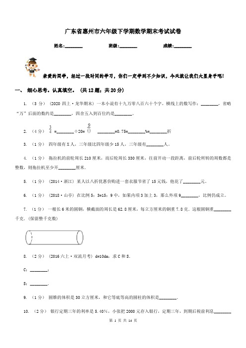 广东省惠州市六年级下学期数学期末考试试卷