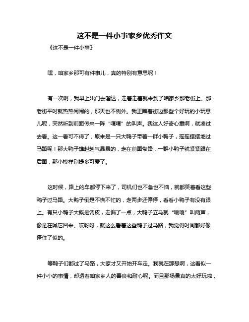 这不是一件小事家乡优秀作文