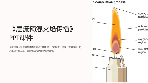 《层流预混火焰传播》课件