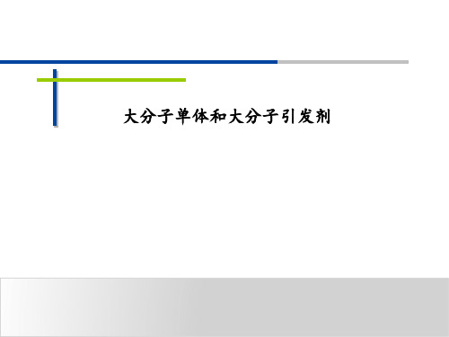 大分子单体和大分子引发剂