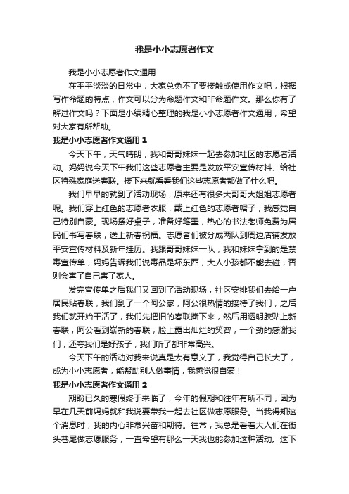 我是小小志愿者作文