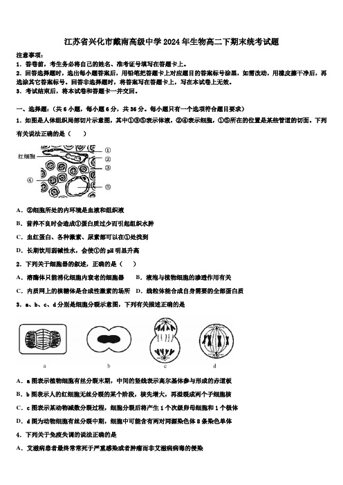 江苏省兴化市戴南高级中学2024年生物高二下期末统考试题(含解析)