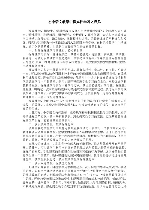 初中语文教学中探究性学习之我见