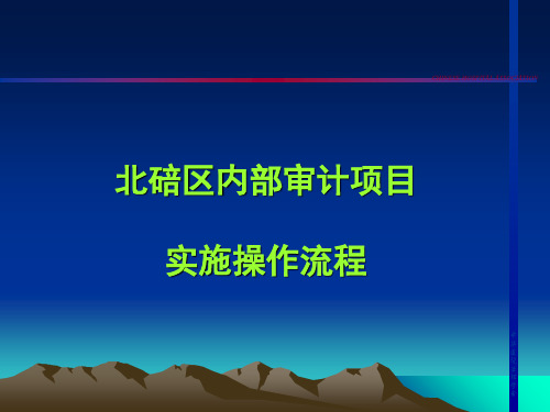 内部审计项目实施操作流程(ppt29张)