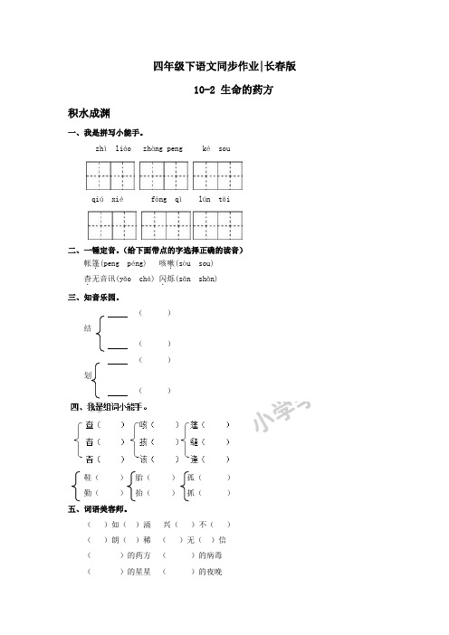 四年级下语文同步作业及答案 10-2 生命的药方-长春版