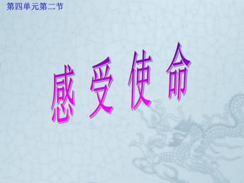 湖南省耒阳市冠湘中学中考政治 九年级 感受使命复习课件