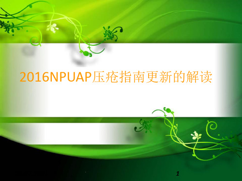 NPUAP压疮指南更新的解读