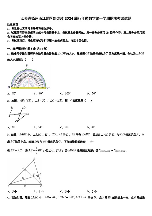 江苏省扬州市江都区邵樊片2024届八年级数学第一学期期末考试试题含解析