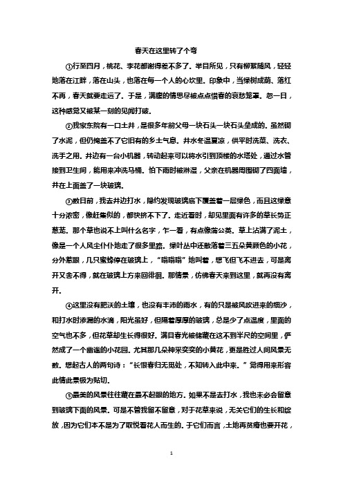 WORD语文阅读专题练习(含答案)《春天在这里转了个弯》  《枯萎的蒲公英》《隐藏在步伐里的父爱》 