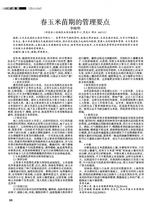 春玉米苗期的管理要点