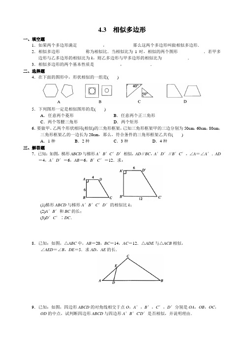 2022年北师大版数学《相似多边形》配套精品练习(附答案)