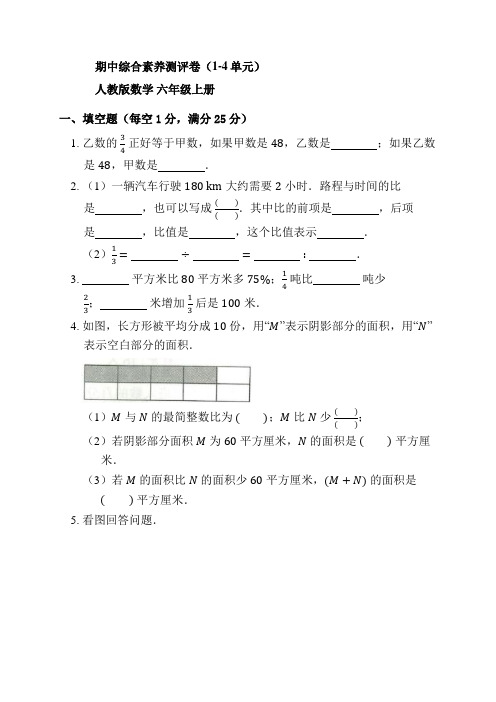 期中综合素养测评卷(1-4单元)(试题)- 六年级上册数学人教版