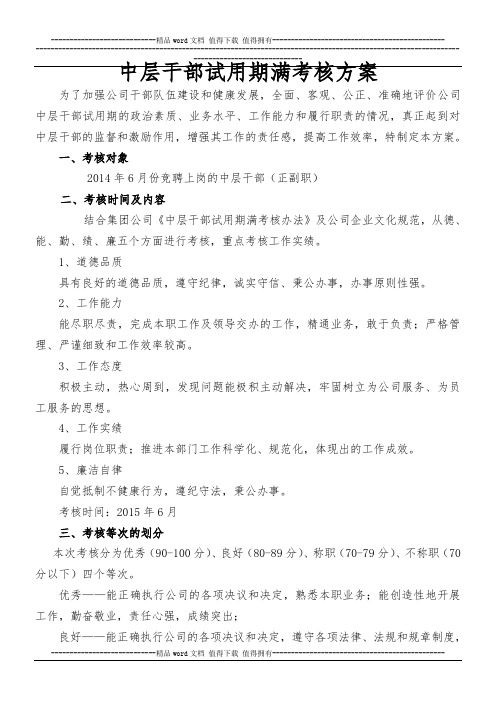 公司中层干部副职试用期考核实施方案