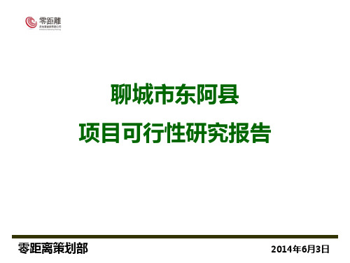 聊城市东阿县项目可行性研究报告