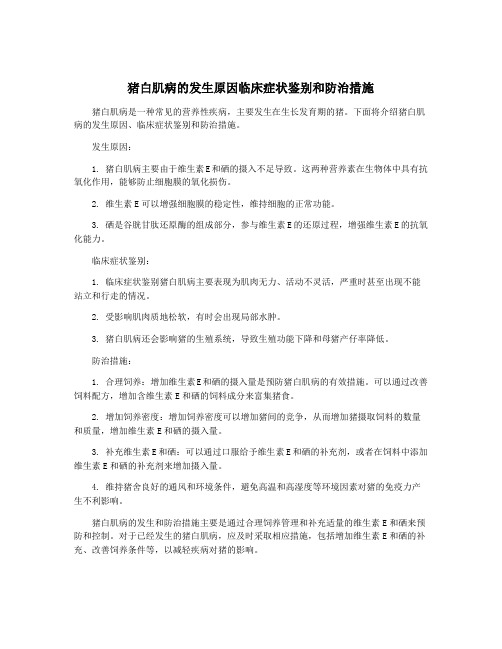 猪白肌病的发生原因临床症状鉴别和防治措施