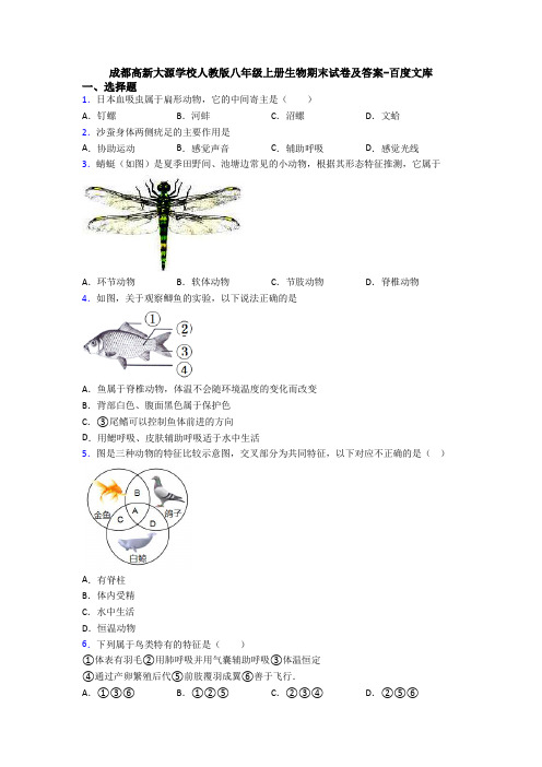 成都高新大源学校人教版八年级上册生物期末试卷及答案-百度文库