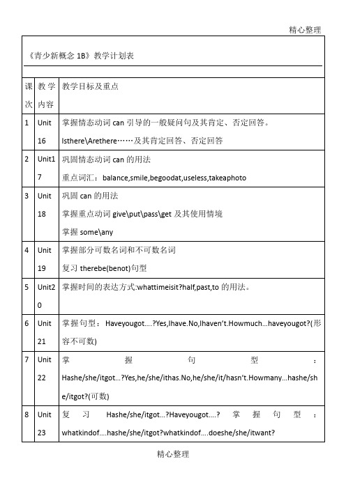 青少新概念B的教学计划表