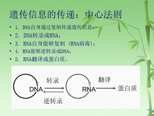  表观遗传学(共49张PPT)